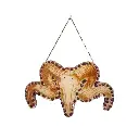 blacksoulcreations-decoration-en-bois-crane-de-belier-avec-pierres-naturelles