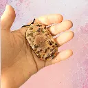 blacksoulcreations-talisman-oeil-bois-pierres-naturelles-oeil-tigre