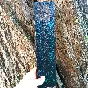 Blacksoulcreations-porte-encens-bois-lion