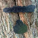 blacksoulcreations-decorations-bois-citrouille-halloween-pierres-naturelles