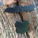 blacksoulcreations-decorations-bois-citrouille-halloween-pierres-naturelles