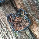 blacksoulcreations-decorations-bois-citrouille-halloween-pierres-naturelles