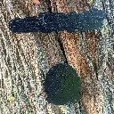 blacksoulcreations-decorations-bois-citrouille-halloween-pierres-naturelles