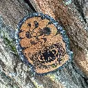 blacksoulcreations-decorations-bois-citrouille-halloween-pierres-naturelles