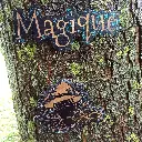 blacksoulcreations-decoration-bois-grenouille-magique-pierres-naturelles