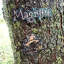 blacksoulcreations-decoration-bois-grenouille-magique-pierres-naturelles