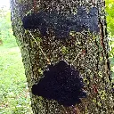 blacksoulcreations-decoration-bois-grenouille-magique-pierres-naturelles